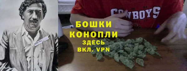 ешки Арсеньев