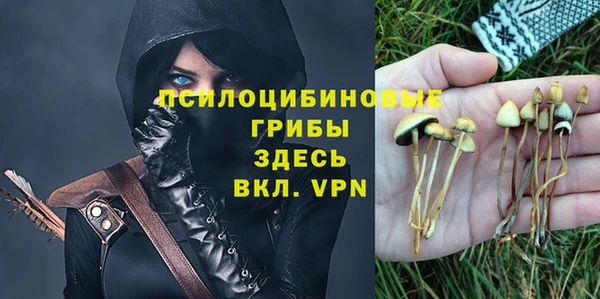 ешки Арсеньев